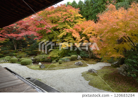 秋天的御座所庭園 仙遊寺(京都市東山區) 秋天的御座所庭園 仙遊寺(京都市東山區) 120683284