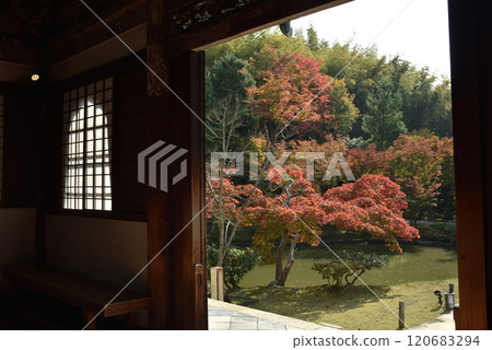 從開山堂(京都市東山區)眺望高台寺、楓葉和臥龍池 從開山堂(京都市東山區)眺望高台寺、楓葉和臥龍池 120683294
