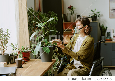 Woman in wheelchair caring for indoor plants beside large window in home, natural light filling cozy room with various indoor plants, creating soothing atmosphere Woman in wheelchair caring for indoor plants beside large window in home, natural light filling cozy room with various indoor plants, creating soothing atmosphere 120683600