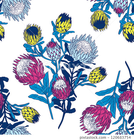 Seamless pattern with protea flowers on white background 120683754