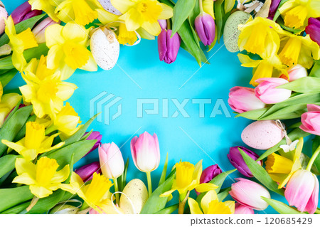 tulips and daffodils flowers tulips and daffodils flowers 120685429