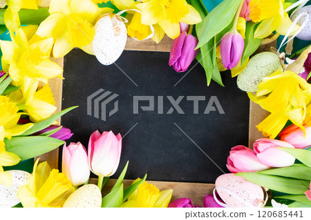 tulips and daffodils flowers 120685441