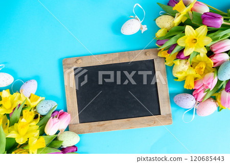 tulips and daffodils flowers 120685443