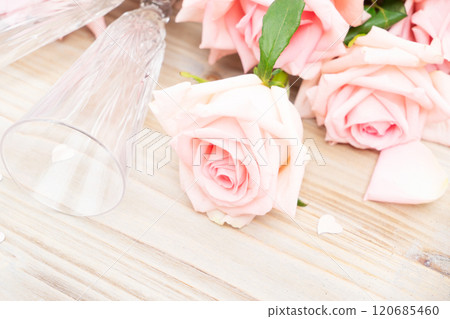 Blooming pink rose flowers 120685460