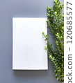 Mockup for drawing or inscription 120685577