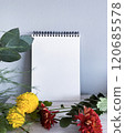 Mockup for drawing or inscription 120685578
