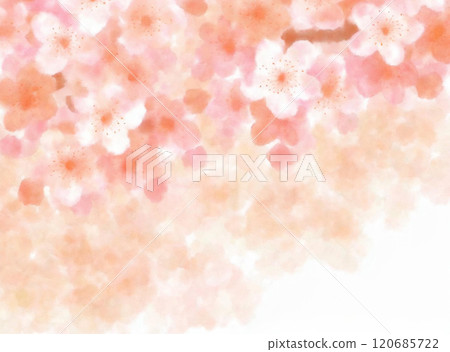 水彩粉紅櫻花蓬鬆日式背景 120685722
