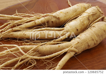A lot of ginseng A lot of ginseng 120685752