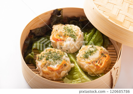 雞肉燒麥配番茄和馬蘇里拉起司 120685786