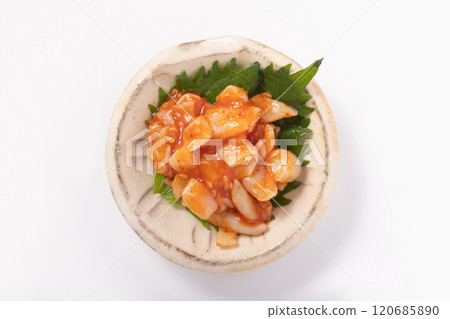 螺殼更換器 120685890