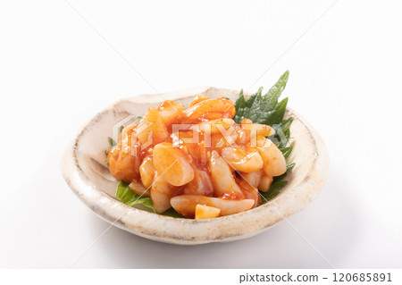 螺殼更換器 120685891