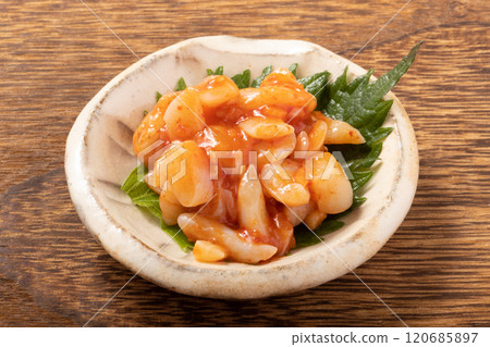 Whelk shell changer Whelk shell changer 120685897