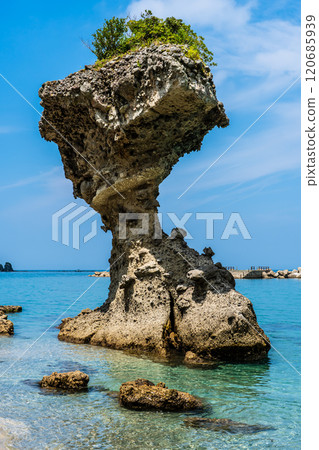 蘋果岩（傘岩） 柿泊海岸 長崎日落之路【長崎市】 120685939