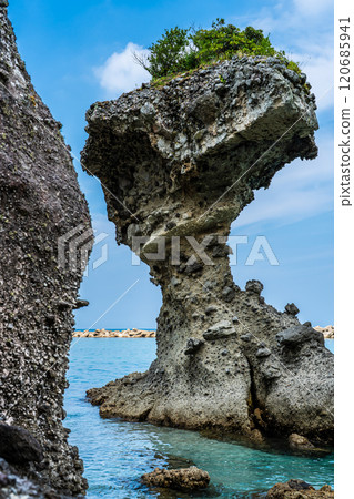 蘋果岩（傘岩） 柿泊海岸 長崎日落之路【長崎市】 120685941