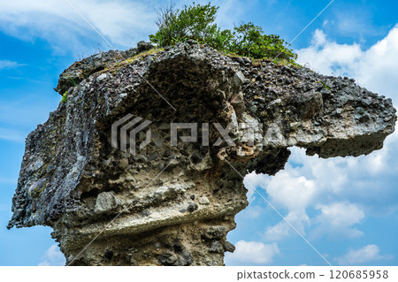 Apple Rock (Umbrella Rock) Kakidomari Coast Nagasaki Sunset Road [Nagasaki City] 120685958
