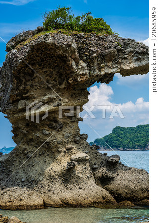 Apple Rock (Umbrella Rock) Kakidomari Coast Nagasaki Sunset Road [Nagasaki City] 120685959