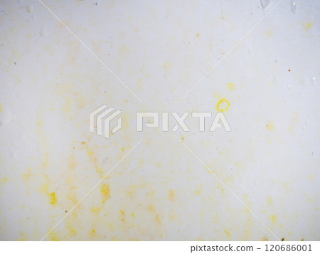 Mold on bathroom enamel. Black dots of mold and yellow plaque. Requires cleaning. Before using cleaning products. Mold on bathroom enamel. Black dots of mold and yellow plaque. Requires cleaning. Before using cleaning products. 120686001