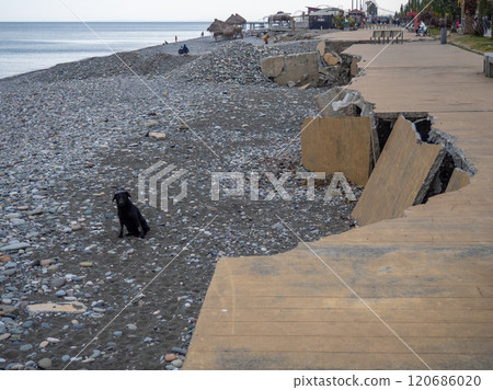 Consequences of destructive waves. Blurred embankment. Pedestrian area of the park after the storm. dog is sitting on the wreckage Consequences of destructive waves. Blurred embankment. Pedestrian area of the park after the storm. dog is sitting on the wreckage 120686020
