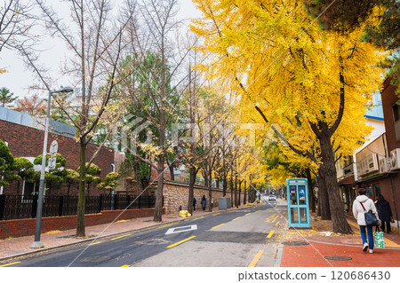 Autumn in Seoul: Jeongdong-gil Autumn in Seoul: Jeongdong-gil 120686430