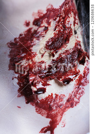 Extreme close up shot of bloody injury on pale neck achieved through professional SFX makeup for horror film scene. Gore scars with fake blood cosmetics, special effects used as Halloween costume Extreme close up shot of bloody injury on pale neck achieved through professional SFX makeup for horror film scene. Gore scars with fake blood cosmetics, special effects used as Halloween costume 120686638