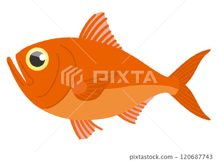 阿方西諾的插圖 120687743