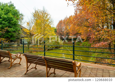 A bench at Aqua World Suigo Park Center in Kaizu City, Gifu Prefecture, with beautiful autumn foliage 120688010