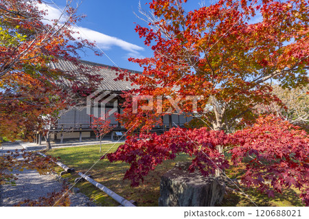 Autumn in Kyoto: Kanshuji Temple's Shinden Hall surrounded by autumn leaves 120688021