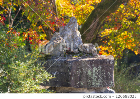 秋天的京都,秋葉環繞的 Kanshuji 寺,Sazareishi 秋天的京都,秋葉環繞的 Kanshuji 寺,Sazareishi 120688025