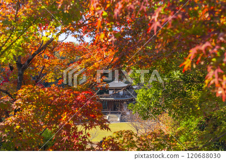 秋天的京都,觀音堂、觀修寺被秋葉覆蓋 秋天的京都,觀音堂、觀修寺被秋葉覆蓋 120688030