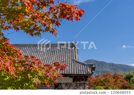 Autumn in Kyoto: Kanshuji Temple's Shinden Hall surrounded by autumn leaves 120688055