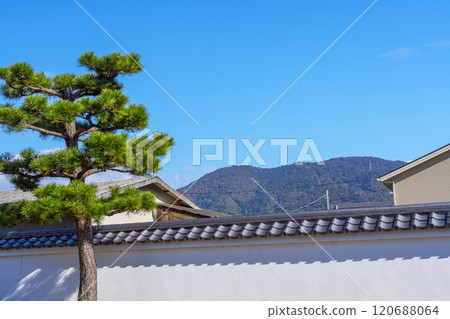 Autumn in Kyoto: Kanshuji Temple surrounded by autumn leaves, blue sky and pine trees 120688064