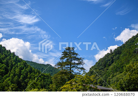 藍天和山上一棵孤樹的風景 藍天和山上一棵孤樹的風景 120688070