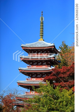 大陸寺五層塔（千葉縣松戶市） 120688100