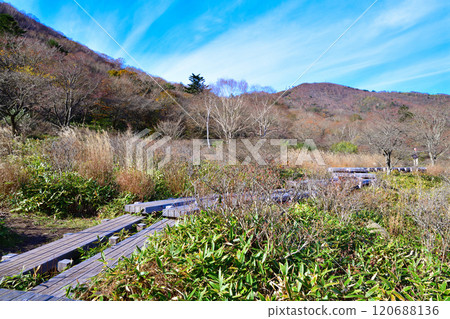 Kakumanbuchi - Late autumn leaves, boardwalk, view from the promenade Kakumanbuchi - Late autumn leaves, boardwalk, view from the promenade 120688136