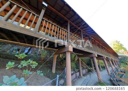 寺廟的長廊（千葉縣松戶市本堂寺） 120688165