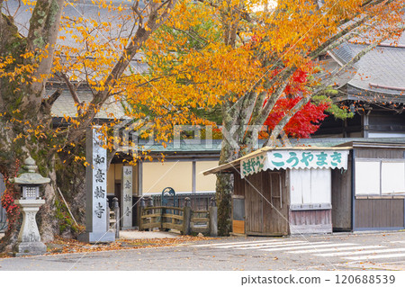 Autumn at Mount Koya: Nyoirinji Temple surrounded by autumn leaves Autumn at Mount Koya: Nyoirinji Temple surrounded by autumn leaves 120688539