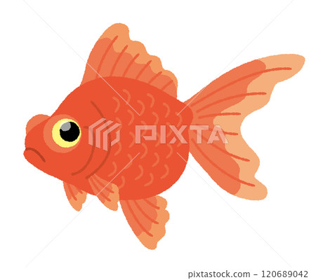 望遠鏡的插圖 望遠鏡的插圖 120689042