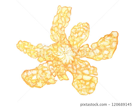 Watercolor illustration of tangerine peel Watercolor illustration of tangerine peel 120689145