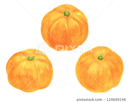 Watercolor illustration of mandarin oranges Watercolor illustration of mandarin oranges 120689146