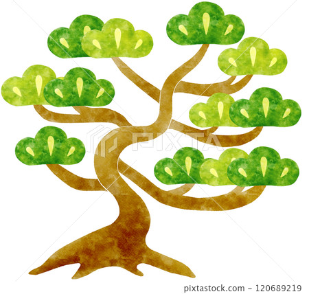Pine tree illustration 120689219