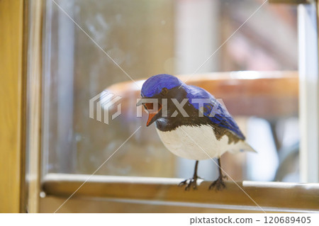 Blue-and-white flycatcher (Family: Flycatcher) A model of a cute wild bird that lives in the mountains of Amagi. Press the button to hear its call. 120689405