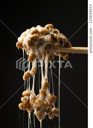 Natto, stringy natto, picking up natto with chopsticks 120689914