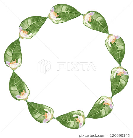 Delicate orange fruit white flowers and shiny leafs, watercolor wreath isolated on white. Hand-painted high quality art is perfect for textile, cards, posters, packaging, home decor, prints, souvenirs Delicate orange fruit white flowers and shiny leafs, watercolor wreath isolated on white. Hand-painted high quality art is perfect for textile, cards, posters, packaging, home decor, prints, souvenirs 120690345