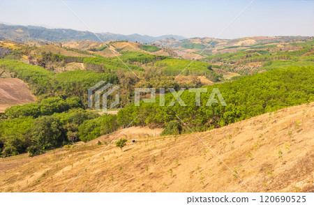 The biggest cause of forest loss is agricultural deforestation ,environmental damage in Southeast Asia , global warming and environment. 120690525