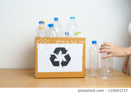 Volunteer keep plastic bottle into paper box at home or office. Hand Sorting Recycle garbage. Ecology, Environmental, pollution, Dispose recycling, waste management and trash Separation concept 120691537
