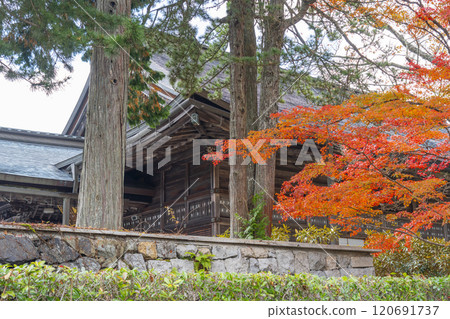 Koyasan Temple Lodgings: The Great Hall Surrounded by Autumn Leaves Koyasan Temple Lodgings: The Great Hall Surrounded by Autumn Leaves 120691737