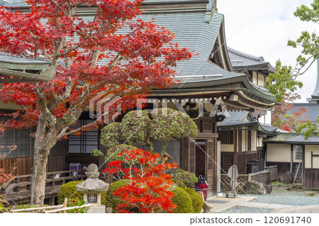 高野山宿坊、常喜院被秋葉包圍 高野山宿坊、常喜院被秋葉包圍 120691740
