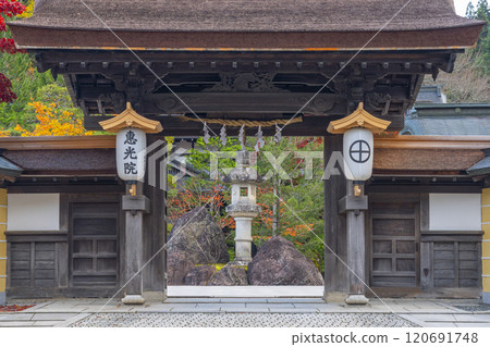 Koyasan Temple Lodgings: Ekoin Temple surrounded by autumn leaves 120691748