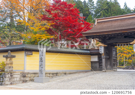 高野山宿坊 Ekoin 寺廟被秋葉包圍 高野山宿坊 Ekoin 寺廟被秋葉包圍 120691756