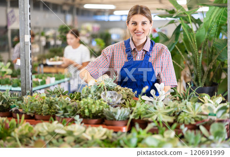 Adult woman saleswoman holding pots of succulents Adult woman saleswoman holding pots of succulents 120691999